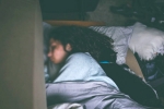 sleeping tips, tips on how to sleep through the night, are you a night owl this one trick can help advance sleep time by 2 hours, Turner