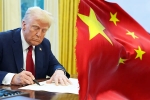 Trump for Chinese students breaking, Donald Trump, trump opens us doors to 6 lakh chinese students, Relationship