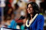United States presidency, Gabbard, tulsi gabbard likely to run for u s presidency in 2020 sources, Tim kaine