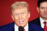 Steve Hanke about Donald Trump, Donald Trump Tariff War with India latest, top us economist on trump s tariff war with india, Leo
