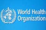 World Health Organization breaking, USA WHO, usa withdraws from world health organization, World health organization World Health Organization breaking, USA WHO, usa withdraws from world health organization, World health organization
