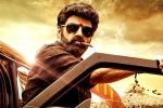 Veera Simha Reddy in Telangana, Veera Simha Reddy in Telangana, veera simha reddy sankranthi weekend collections, Varalaxmi sarathkumar