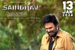 Saindhav release news, Saindhav for Sankranthi, venkatesh s saindhav locks new release date, Nawazuddin siddiqui