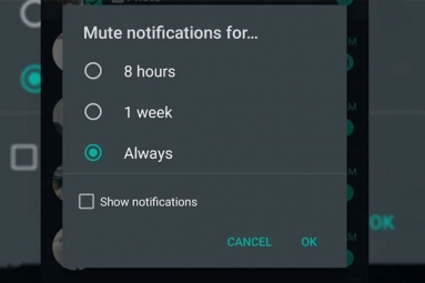 WhatsApp to bring 'always mute' option for chats on Android WhatsApp to bring 'always mute' option for chats on Android