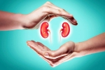 World Kidney Day 2025 breaking, World Kidney Day 2025 theme, world kidney day 2025 theme and health tips, Fruit