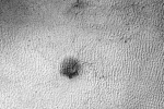 Martian spider, spider on Mars, yards long spider on mars nasa, Nasa scientists