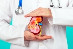 top fruits for Kidney Health, top fruits for Kidney Health, top fruits that are good for kidney health, Kidney health