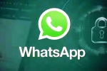 iOS Testing Multi-Account Support for WhatsApp news, iOS Testing Multi-Account Support for WhatsApp latest update, whatsapp for ios testing multi account support, Whatsapp