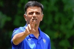 BCCI, Rahul Dravid for Team India, rahul dravid to lead team india as head coach, Sourav ganguly