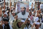 Bin Laden operations, Bin Laden group, bin laden continues to mobilize jihadists ten years after his death, Al qaeda