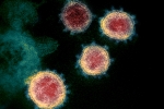 Mu variant symptoms, Coronavirus, one more new variant of coronavirus traced in columbia, South america