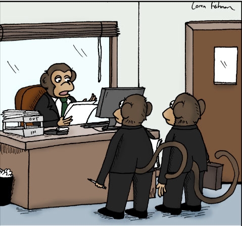 Contrary to popular opinion fish are not, in fact, vegetables