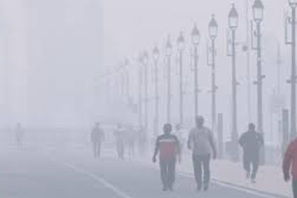 Air Pollution effects on the foetus