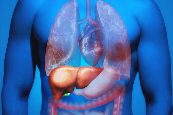 Why is Fatty Liver Affecting Youngsters?