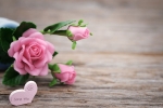 gift ideas for parents who live far away, mothers day gifts, 8 ways to send love to your mom on mother s day even when you are away from home, Microwave gift ideas for parents who live far away, mothers day gifts, 8 ways to send love to your mom on mother s day even when you are away from home, Microwave