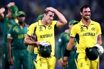 Australia Vs South Africa result, Australia Vs South Africa scores, australia enters world cup final 2023, David warner