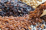 Brown Rice Vs Black Rice comparison, Brown Rice Vs Black Rice better, brown rice vs black rice which one is healthier, Eyesight Brown Rice Vs Black Rice comparison, Brown Rice Vs Black Rice better, brown rice vs black rice which one is healthier, Eyesight