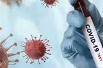 Covid-19 deaths latest, Covid-19 deaths lattest updates, covid 19 death toll far higher than official numbers who, Virus