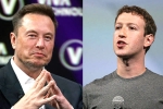 Elon Musk and Mark Zuckerberg news, Elon Musk, elon vs zuckerberg mma fight ahead, Lex fridman