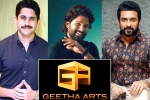 Geetha Arts upcoming movies, Naga Chaitanya, geetha arts to announce three pan indian films, Boyapati srinu