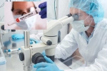 Hantavirus Scientists latest, Hantavirus Scientists breaking updates, hantavirus scientists were close to vaccine, Argentina