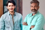 Mahesh Babu, SS Rajamouli, mahesh babu and rajamouli s film new updates, Jayendra