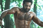 Ramaraju for Bheem teaser update, Ramaraju for Bheem latest updates, ramaraju for bheem ntr s deadly transformation as komaram bheem, Ramaraju for bheem