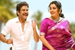 Bangarraju promotions, Bangarraju new release date, nagarjuna s bangarraju turns hot among sankranthi releases, Ashok galla