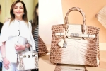 Nita Ambani's Crocodile Skin Handbag, nita ambani's bag, nita ambani s crocodile skin handbag worth rs 2 6 cr studded with 240 diamonds goes viral, Holy grail Nita Ambani's Crocodile Skin Handbag, nita ambani's bag, nita ambani s crocodile skin handbag worth rs 2 6 cr studded with 240 diamonds goes viral, Holy grail