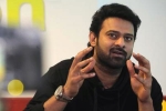Prabhas next movie, Prabhas upcoming films, two young beauties in talks for prabhas next, Pelli sandad Prabhas next movie, Prabhas upcoming films, two young beauties in talks for prabhas next, Pelli sandad