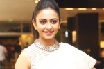 Rakul Preet Singh latest, Rakul Preet Singh next, rakul preet s multi starrer, Actress rakul preet Rakul Preet Singh latest, Rakul Preet Singh next, rakul preet s multi starrer, Actress rakul preet