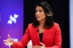 US presidential candidate tulsi gabbard, US presidential candidate tulsi gabbard, u s presidential candidate tulsi gabbard sues google for hindering her campaign, Elizabeth warren