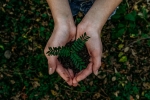 planet, world earth day, what can you do to save earth, New born