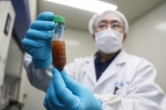 government, covid-19 vaccine, when can the world expect an effective covid 19 vaccine, Anthony fauci government, covid-19 vaccine, when can the world expect an effective covid 19 vaccine, Anthony fauci